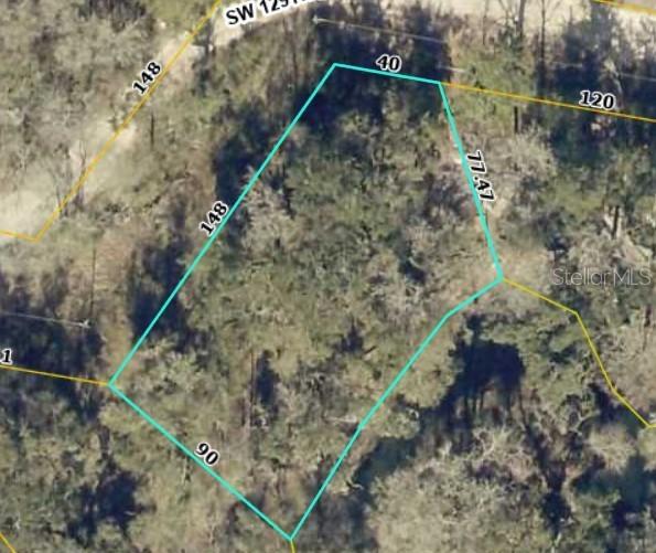 TBD2 SW 129th Blvd., Webster, FL 33597