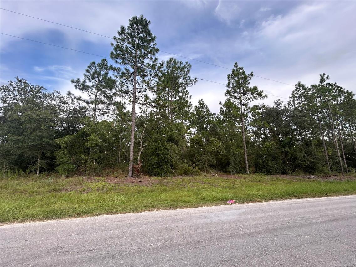 TBD NE 150th Ave., Williston, FL 32696
