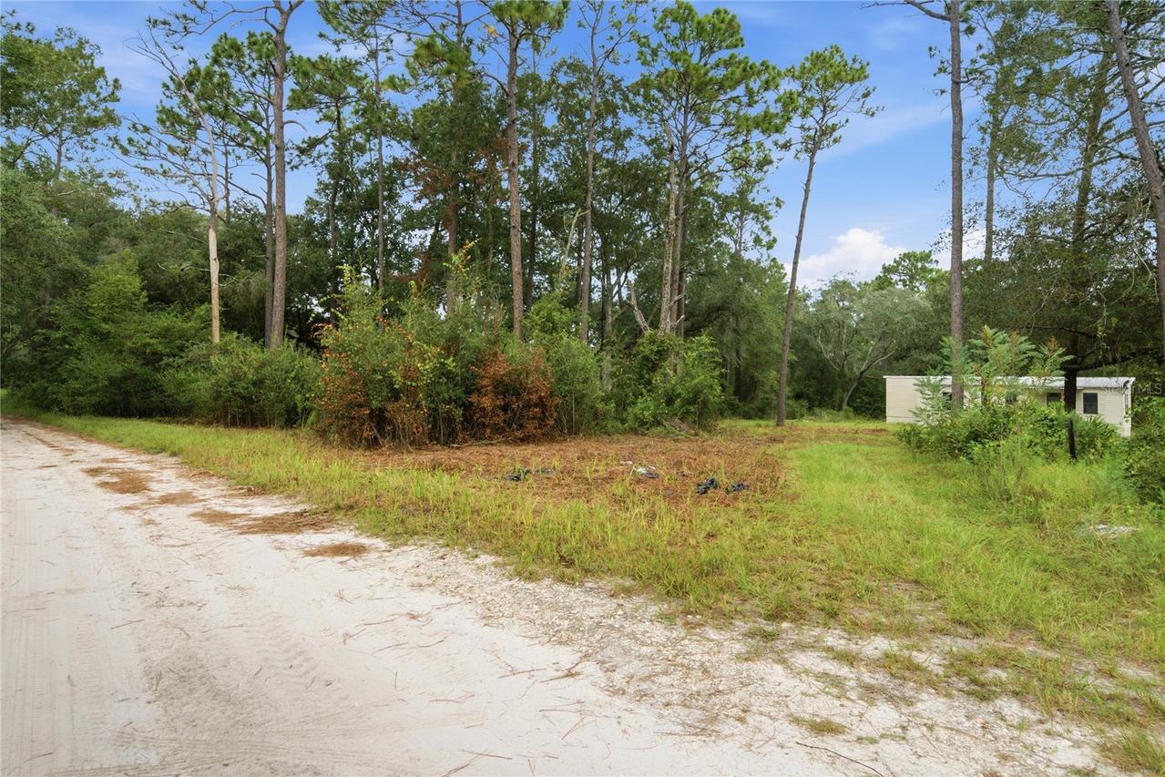 8565 SW 156th Pl., Dunnellon, FL 34432
