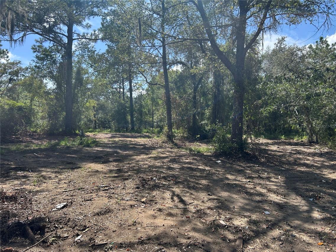 1631 NE 123rd Ter., Williston, FL 32696