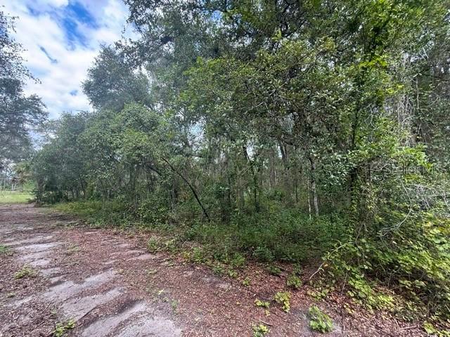 189 N Oakwood Ter., Inverness, FL 34453