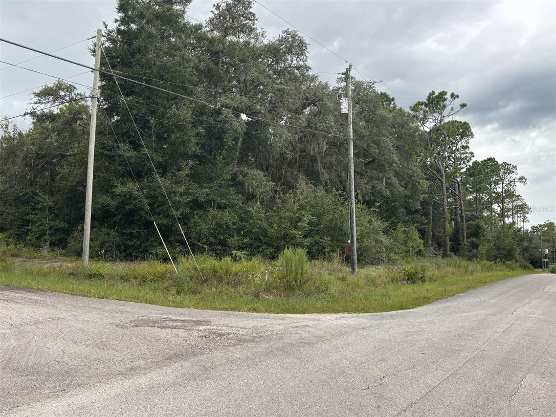 SW South Wind Ct., Dunnellon, FL 34431