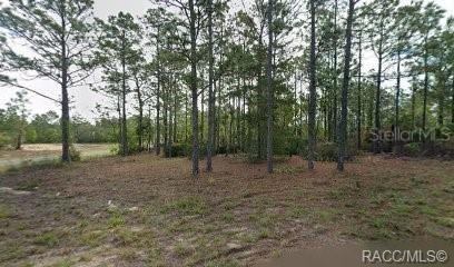 10599 N Caldera Ave., Citrus Springs, FL 34433