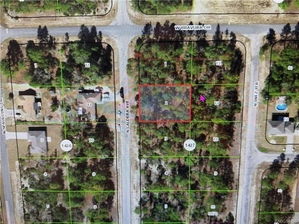 10585 N Caldera Ave., Citrus Springs, FL 34433