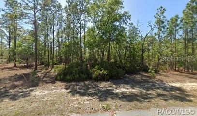 10584 N Inez Ter., Citrus Springs, FL 34433