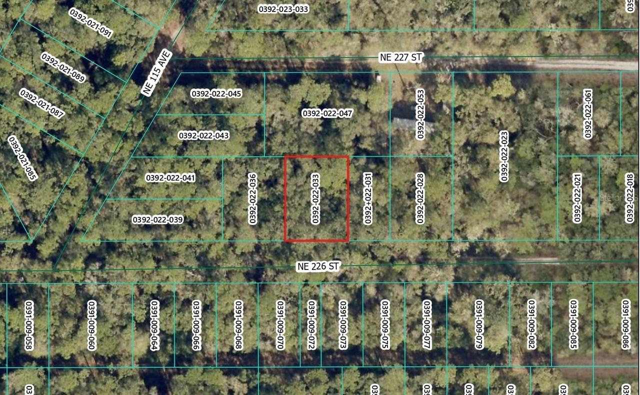 NE 226th St., Orange Springs, FL 32182