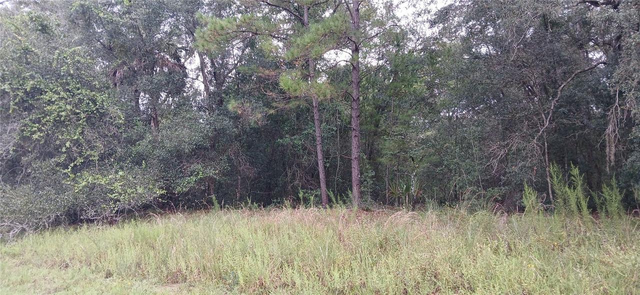 1623 E Ivydale Dr., Citrus Springs, FL 34434