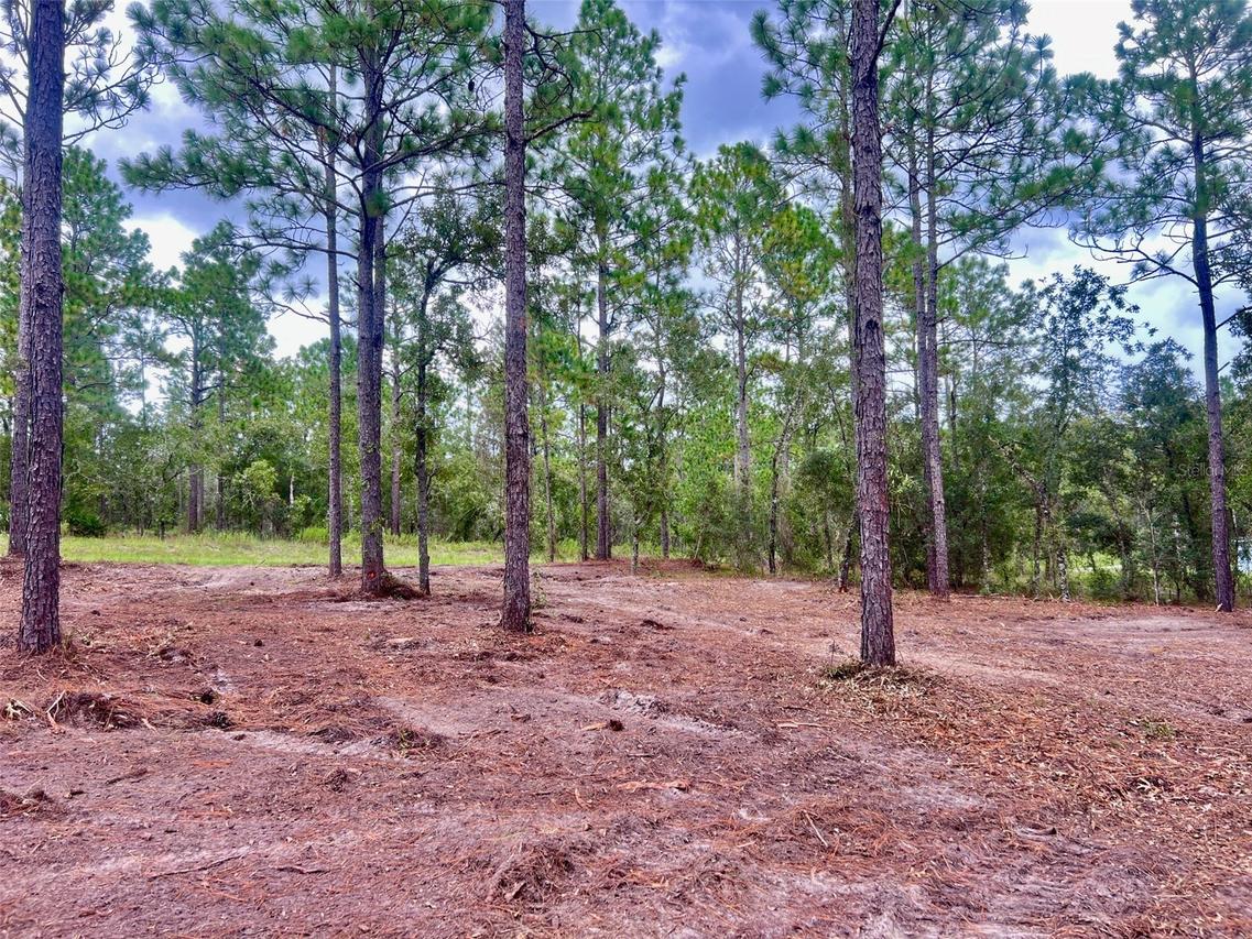16 SW Anchor Blvd., Dunnellon, FL 34431