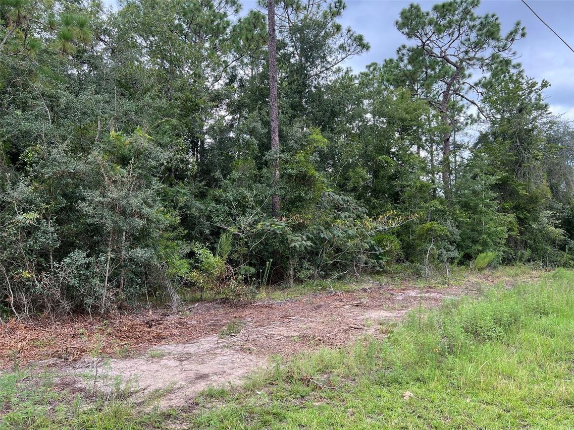 TBD SW 167th Ave., Ocala, FL 34481