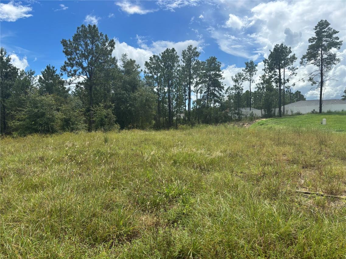 12828 SW 86 Cir., Ocala, FL 34473
