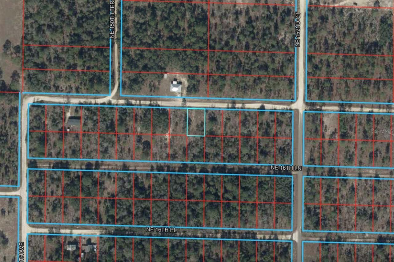 15194 NE Ne 17th Pl Pl., Williston, FL 32696