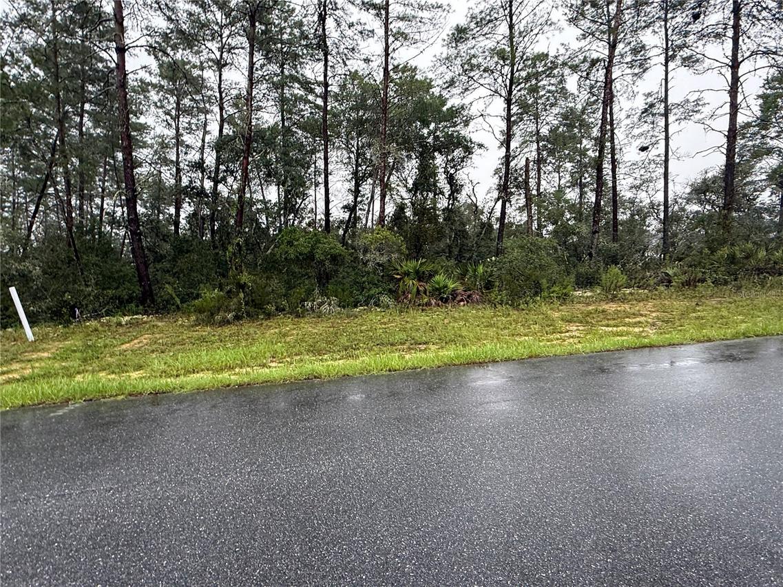 SW 176th Loop, Ocala, FL 34473