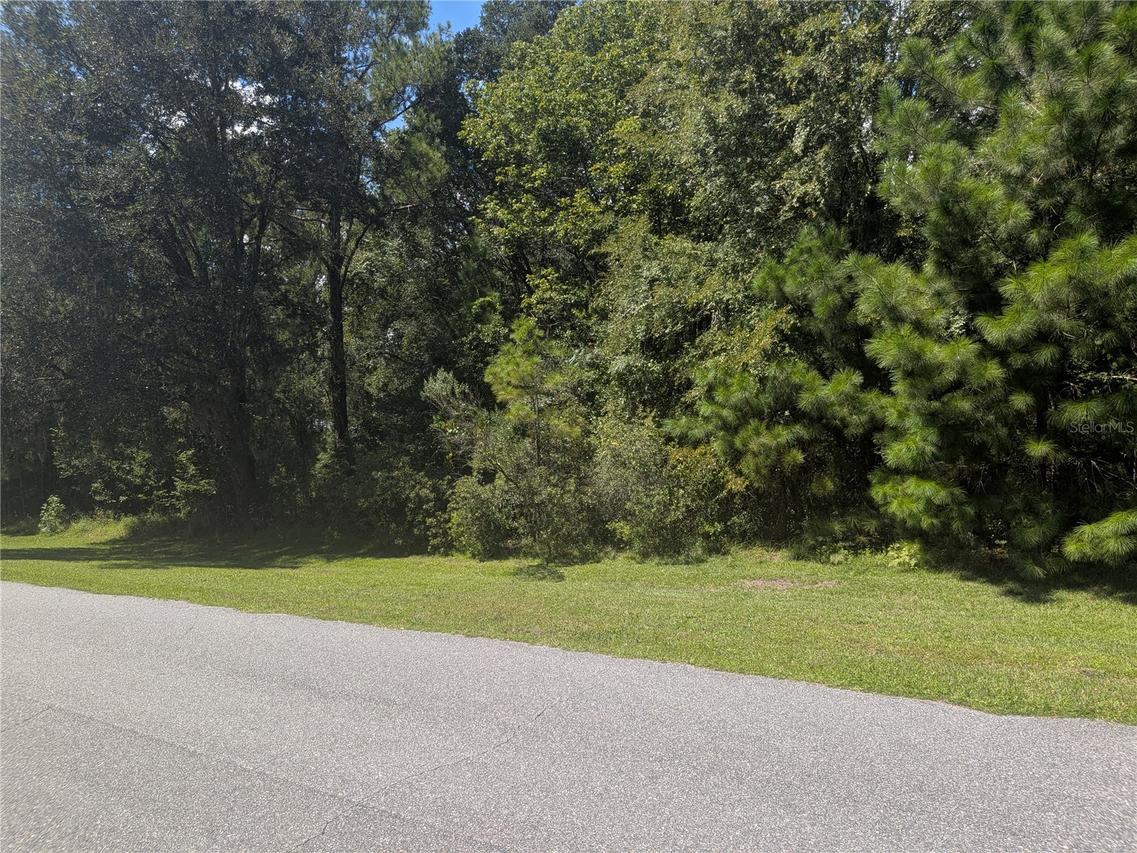 TBD NW 141st Ave, Williston, FL 32696