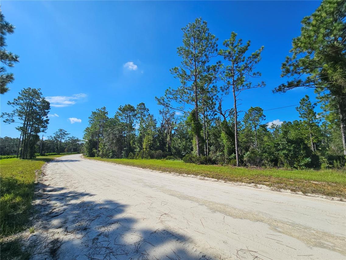 0000 NE 38th Pl., Williston, FL 32696