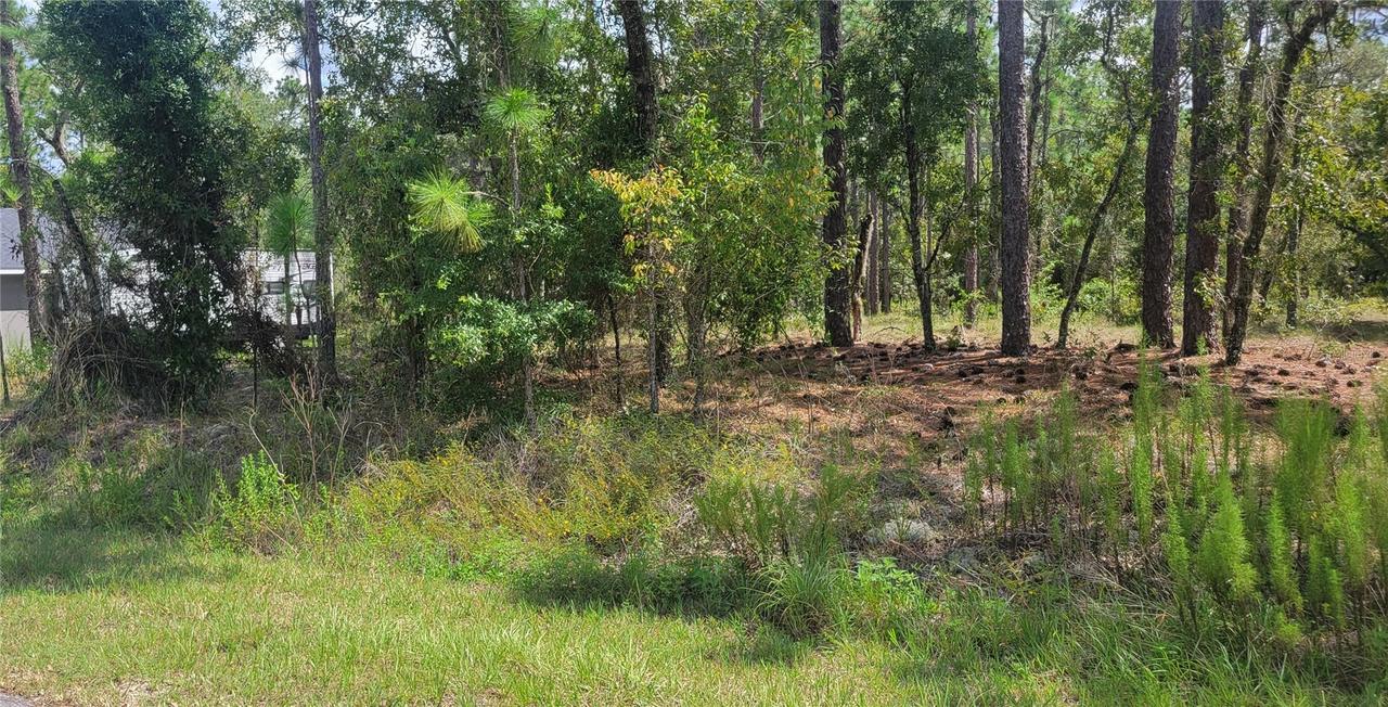 NW Hillsdale Ave., Dunnellon, FL 34431