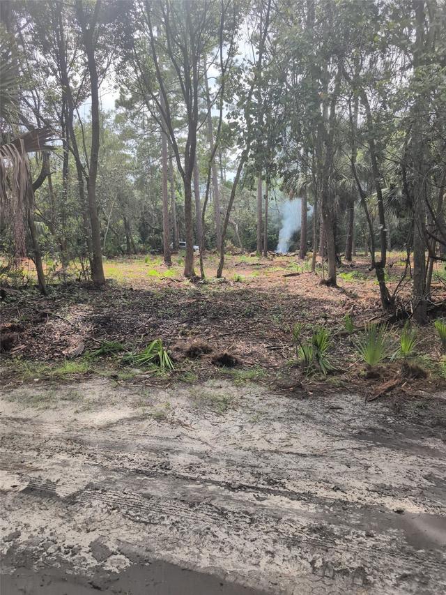 Marie Ave., Deland, FL 32720