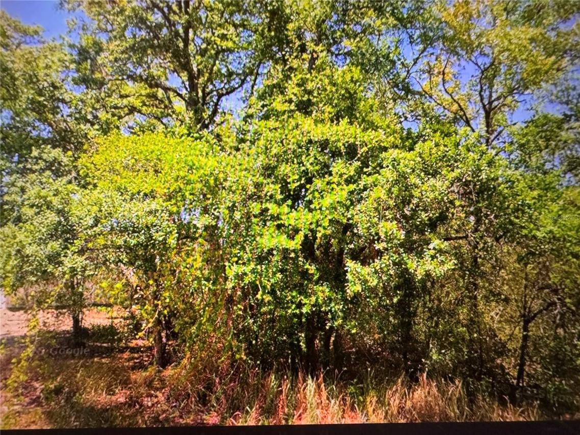 252 Locust Ln., Ocala, FL 34472