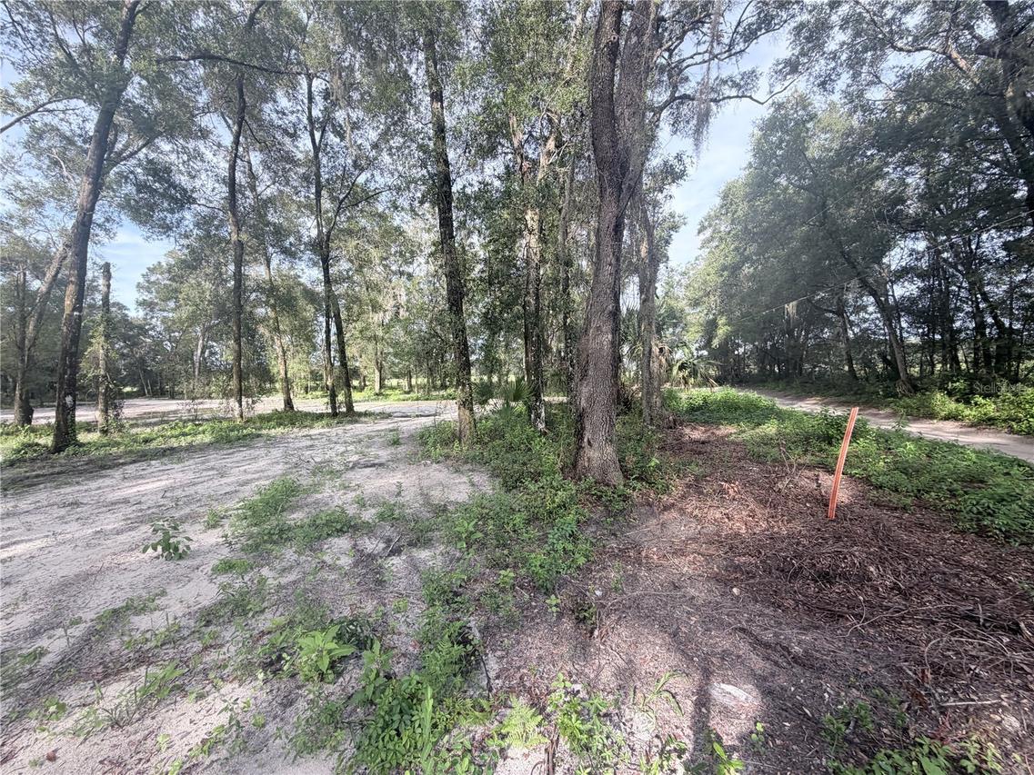 SW 150th St., Dunnellon, FL 34432