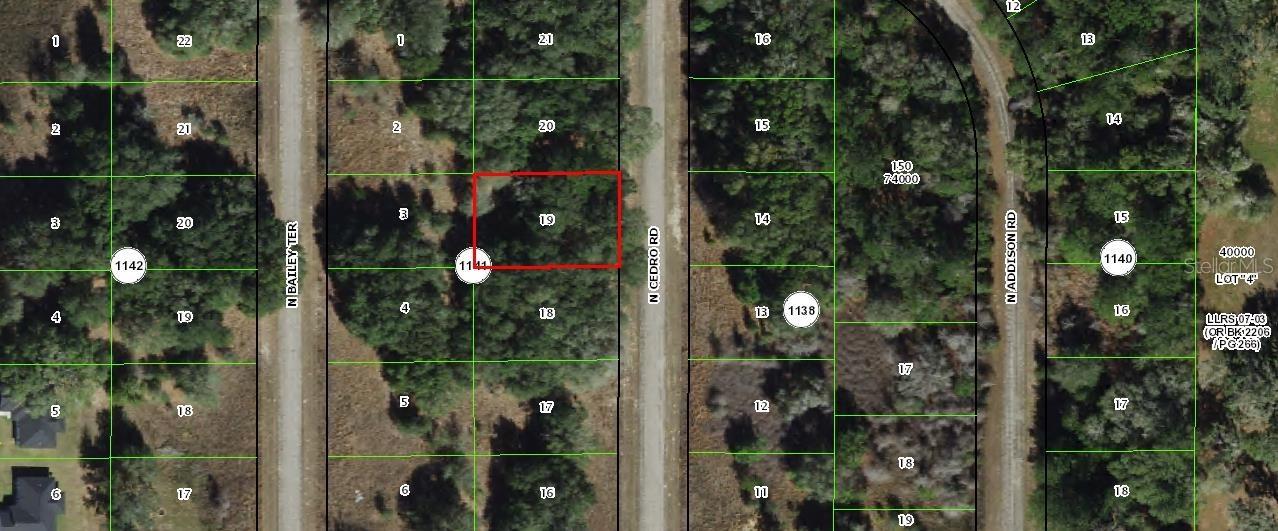 7918 N Cedro Rd., Citrus Springs, FL 34434