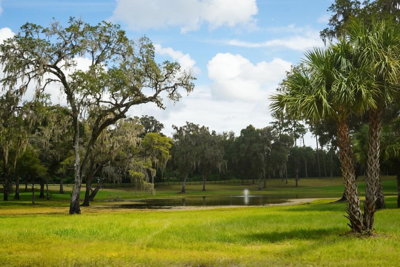 Nw 160th Street, Reddick, FL 32686