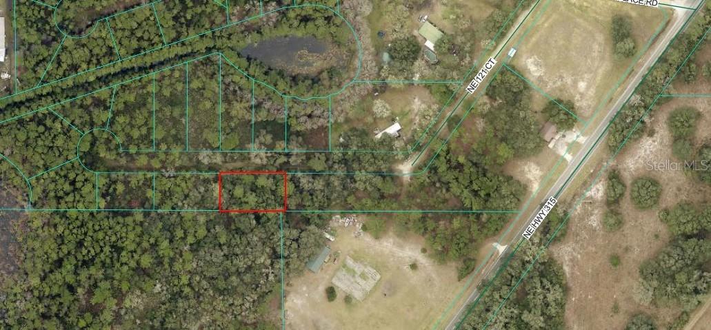 Ne 121 Ct, Fort Mc Coy, FL 32134