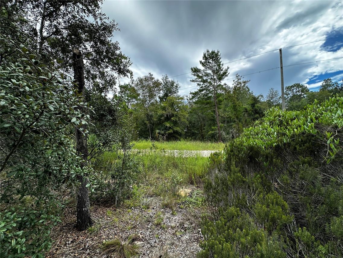 0000 NE 149th Ct., Williston, FL 32696