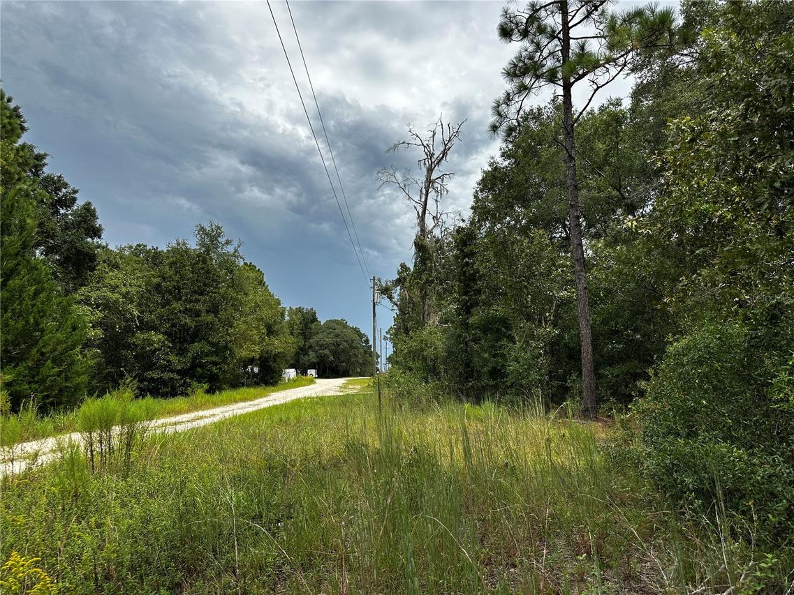 0000 NE 155th Ct., Williston, FL 32696