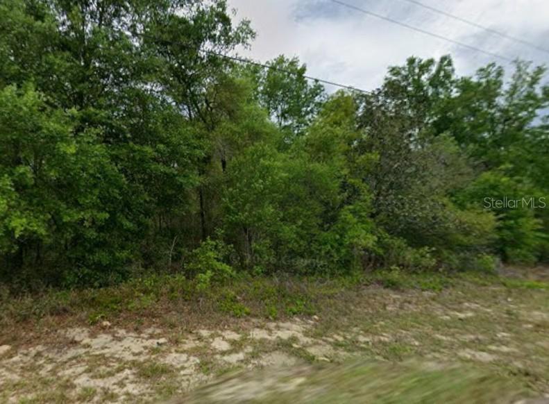 9223 N Justa Dr., Citrus Springs, FL 34433