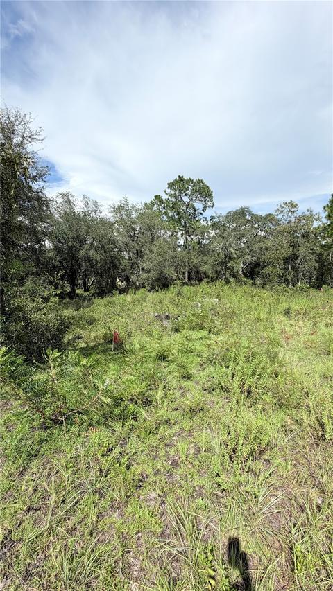 NE 65th St., Williston, FL 32696