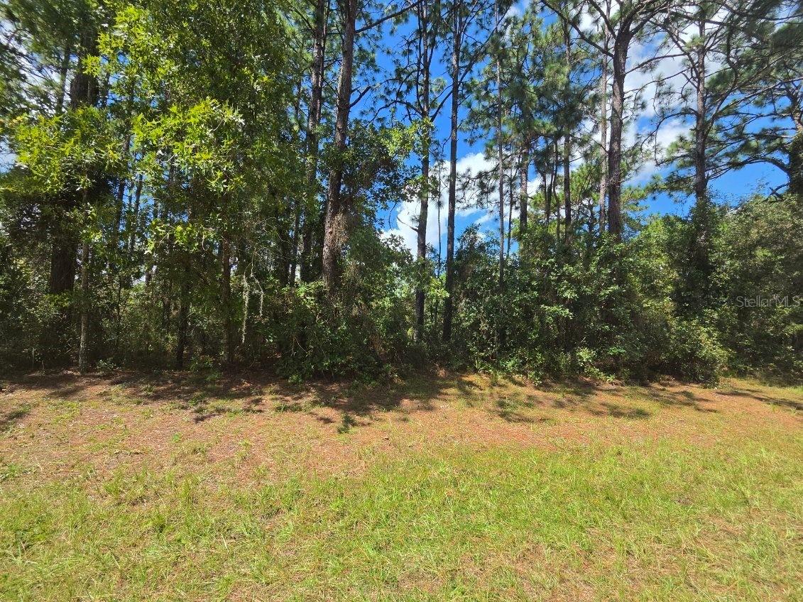 00 Sw 81st Ter, Ocala, FL 34473