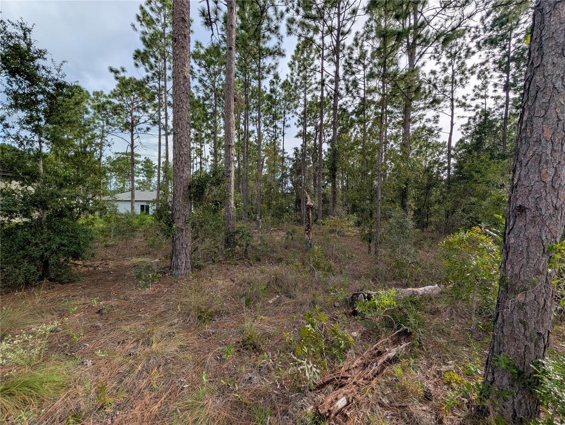 640 W Heronsbill Ln., Citrus Springs, FL 34434