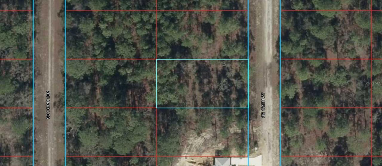 TBD SE 134th Ct., Dunnellon, FL 34431