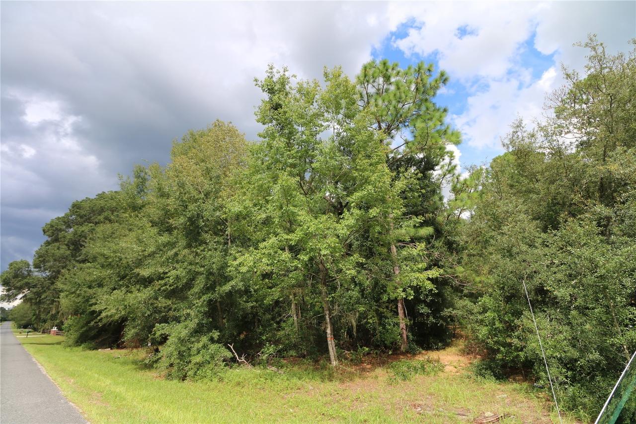 SE 52 Ct., Ocala, FL 34480