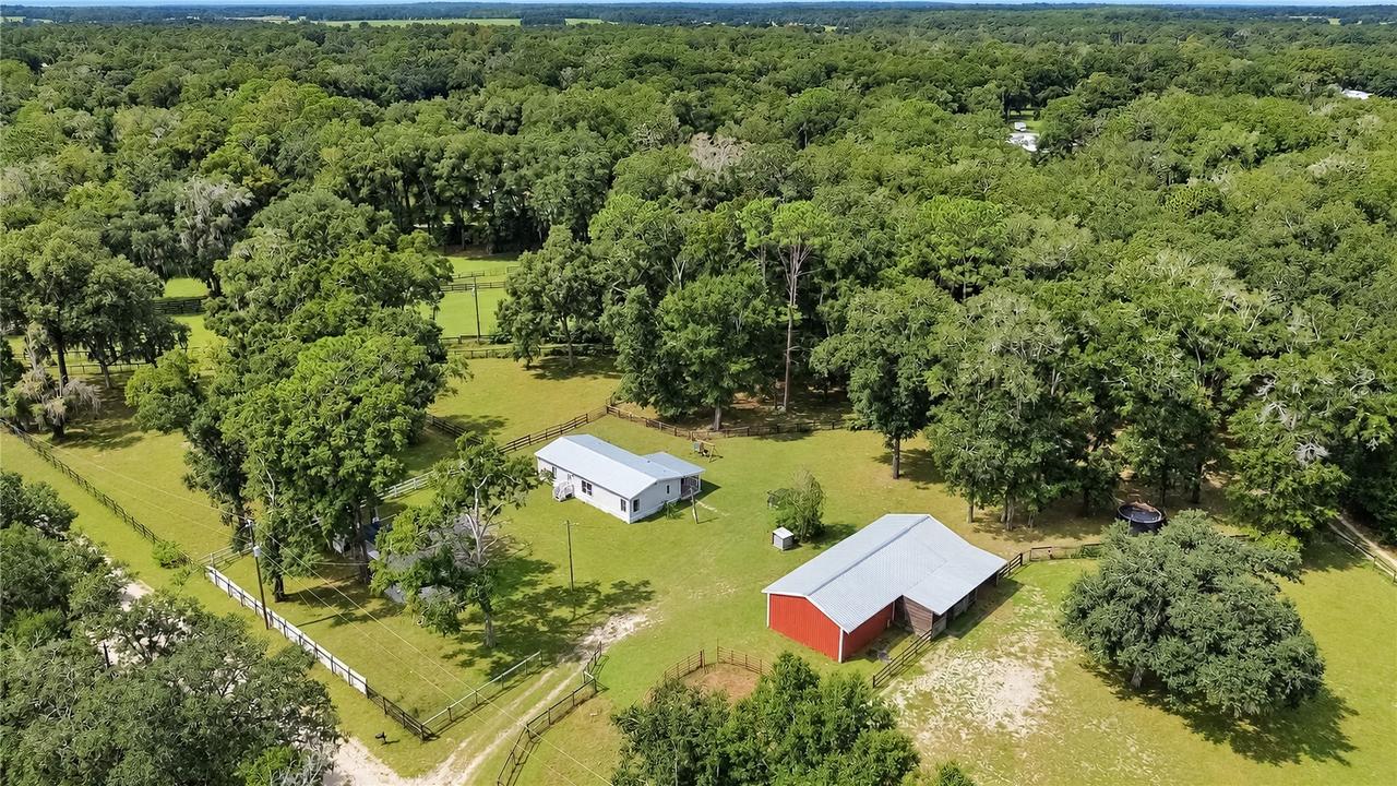 8081 SW 41st Place Rd., Ocala, FL 34481