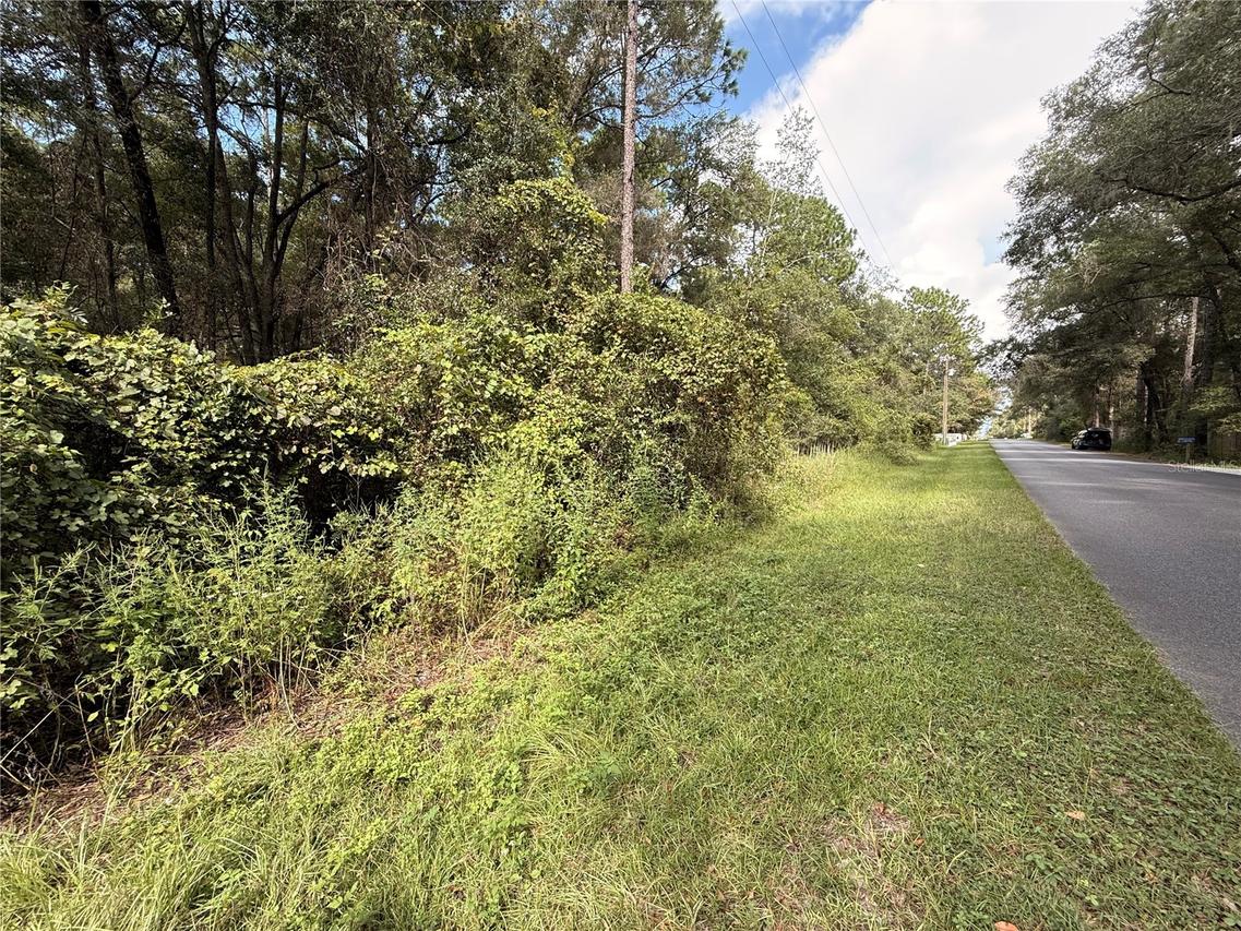 TBD SW 57th Pl., Dunnellon, FL 34431