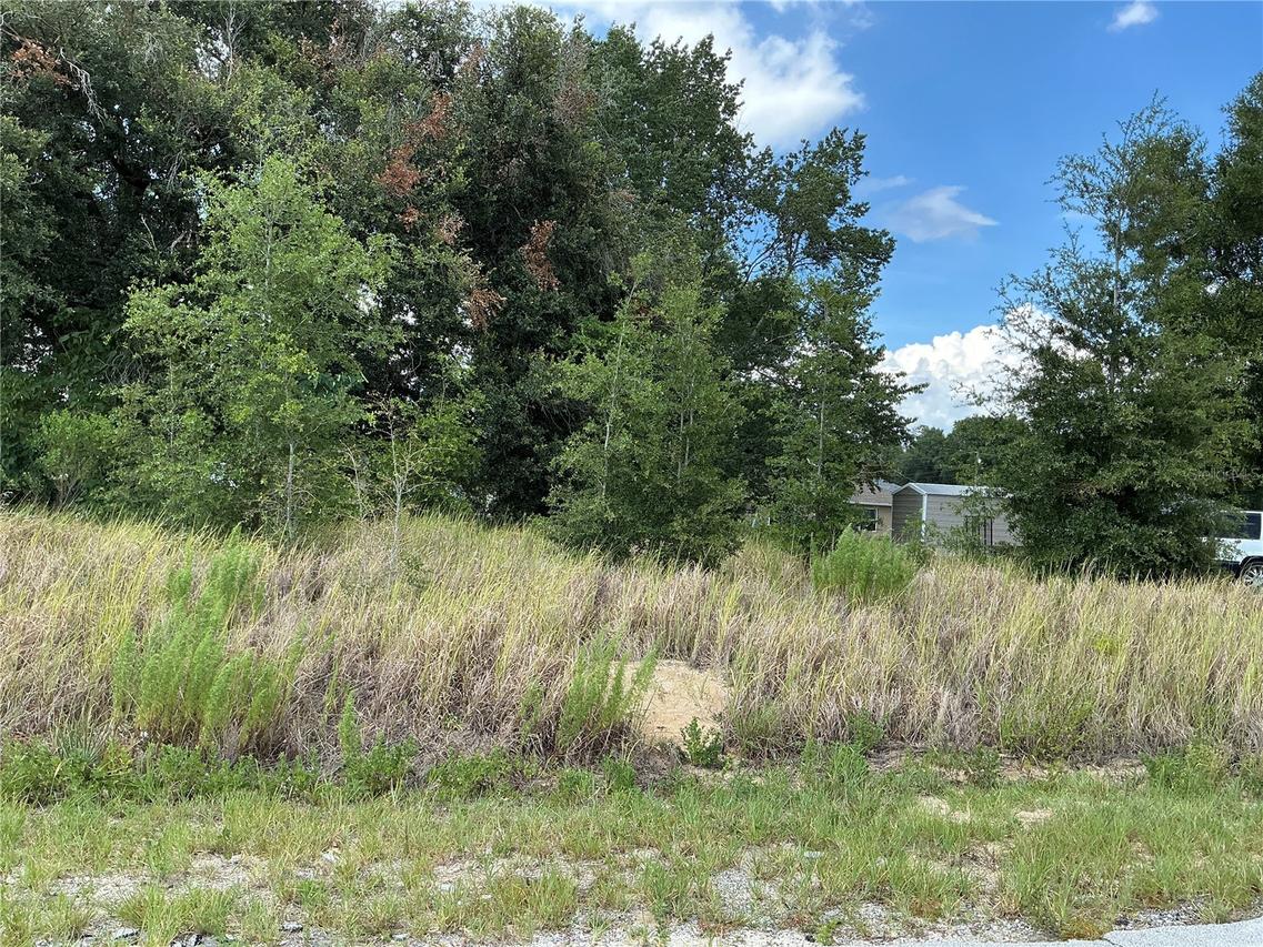 Dogwood Trail Course, Ocala, FL 34472
