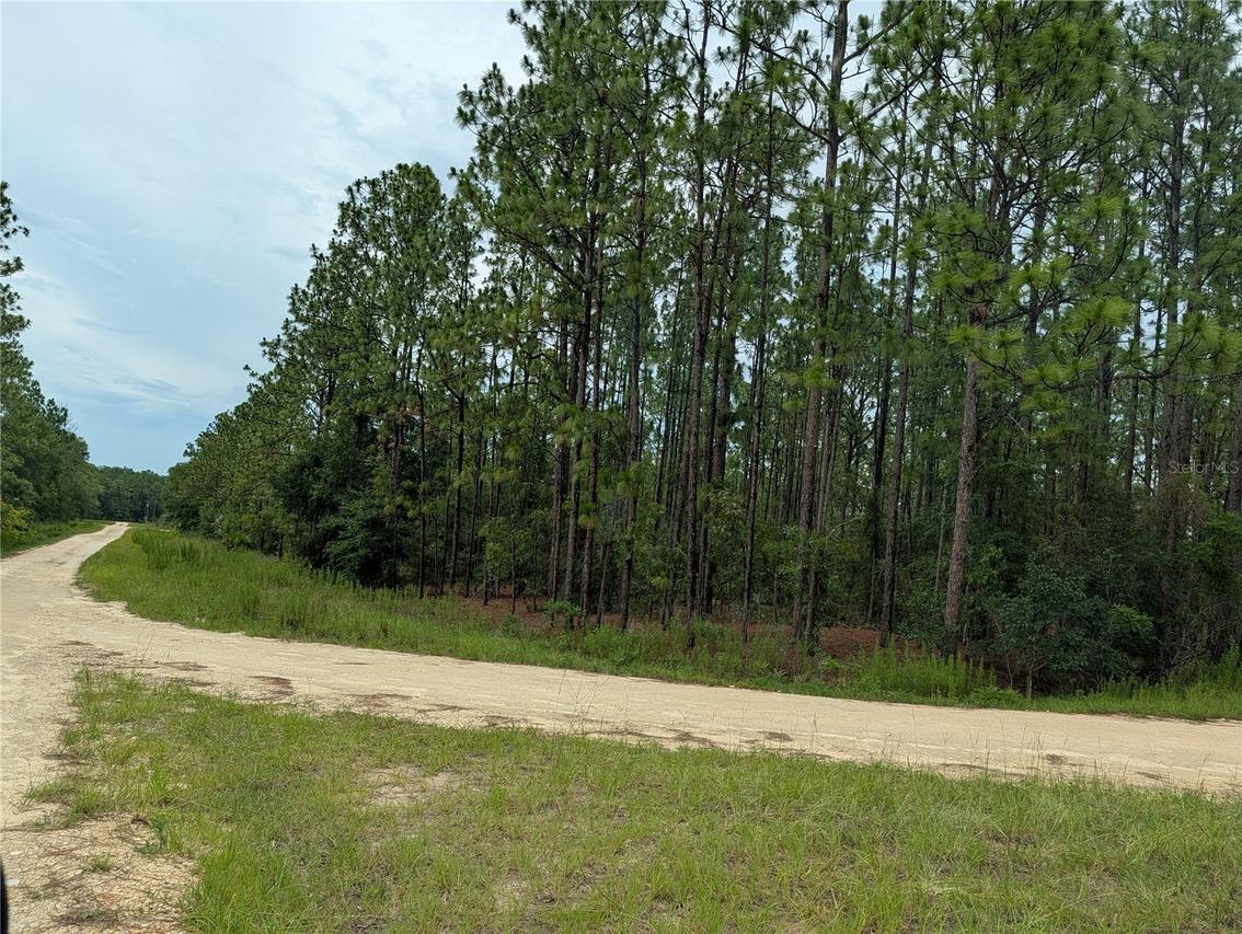 SW Tbd Sw 125th Court Rd., Ocala, FL 34481