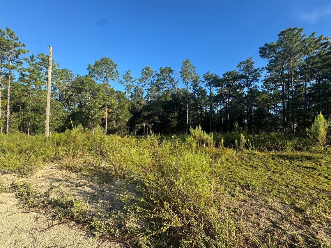 16327 SW 24th Pl., Ocala, FL 34481