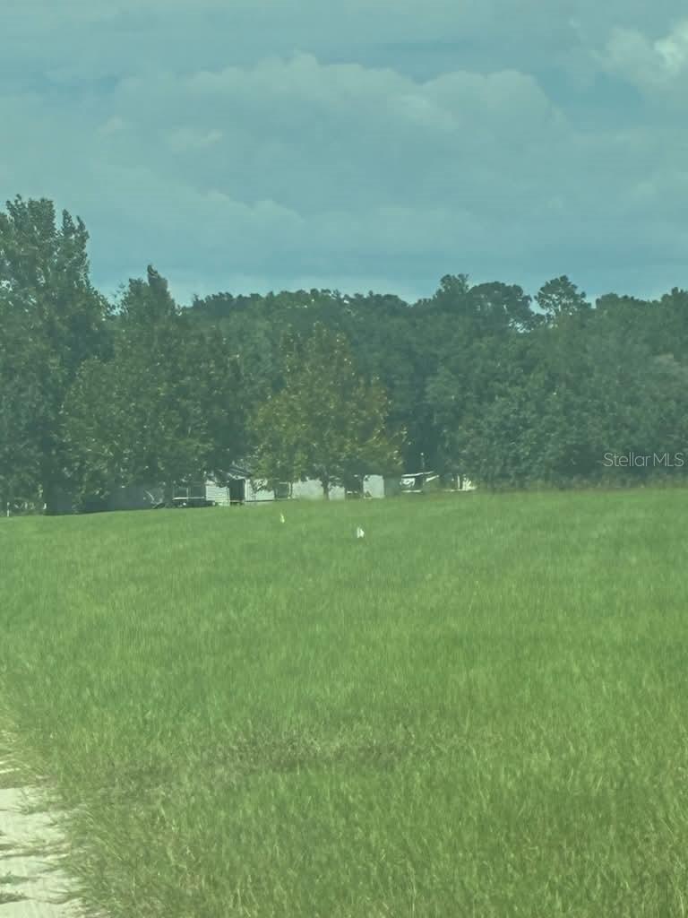9851 NE 60 St., Bronson, FL 32621