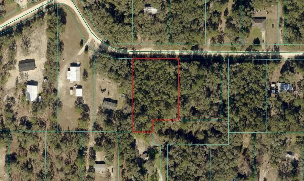 TBD LOT 6 SW 55th St., Ocala, FL 34481