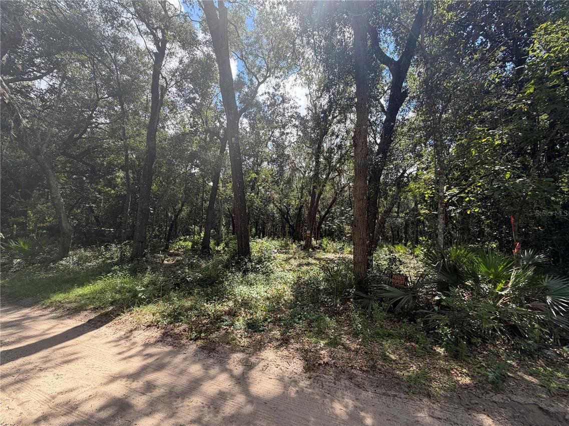 NE 37th St., Silver Springs, FL 34488