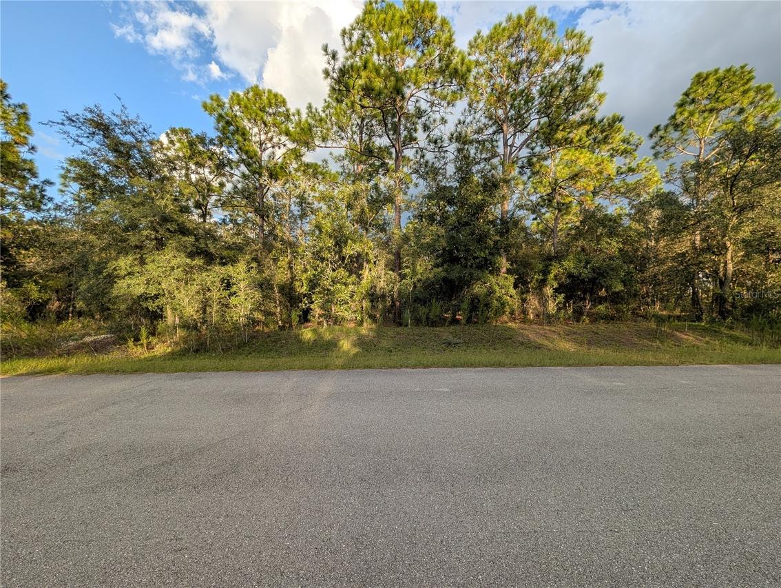 13 NW Buena Vista Rd., Dunnellon, FL 34431