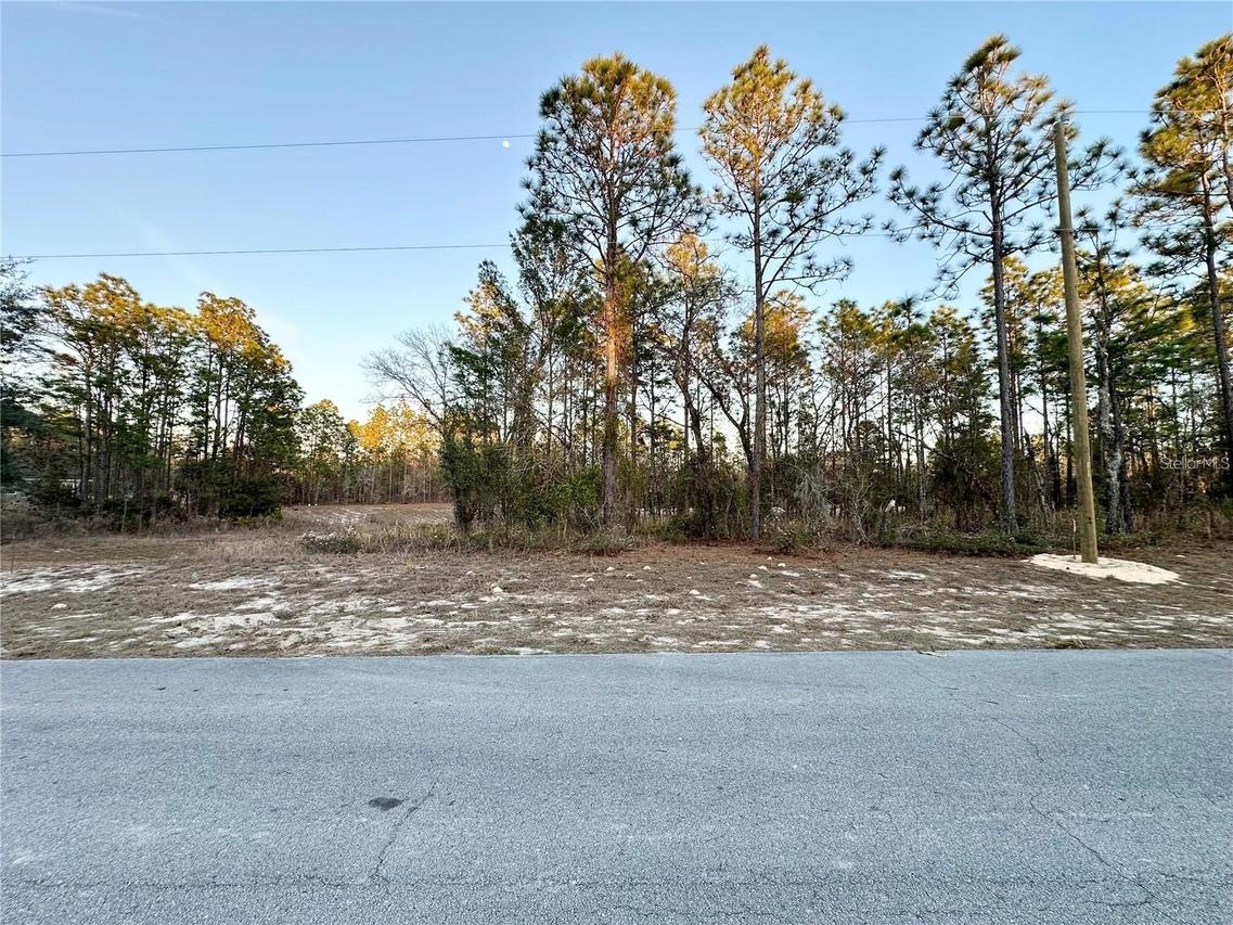 SW 88th Ct., Ocala, FL 34473