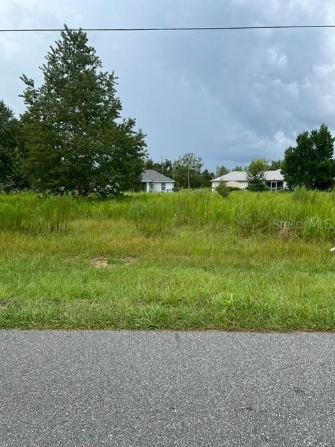 TBD Juniper Loop Pl, Ocala, FL 34480