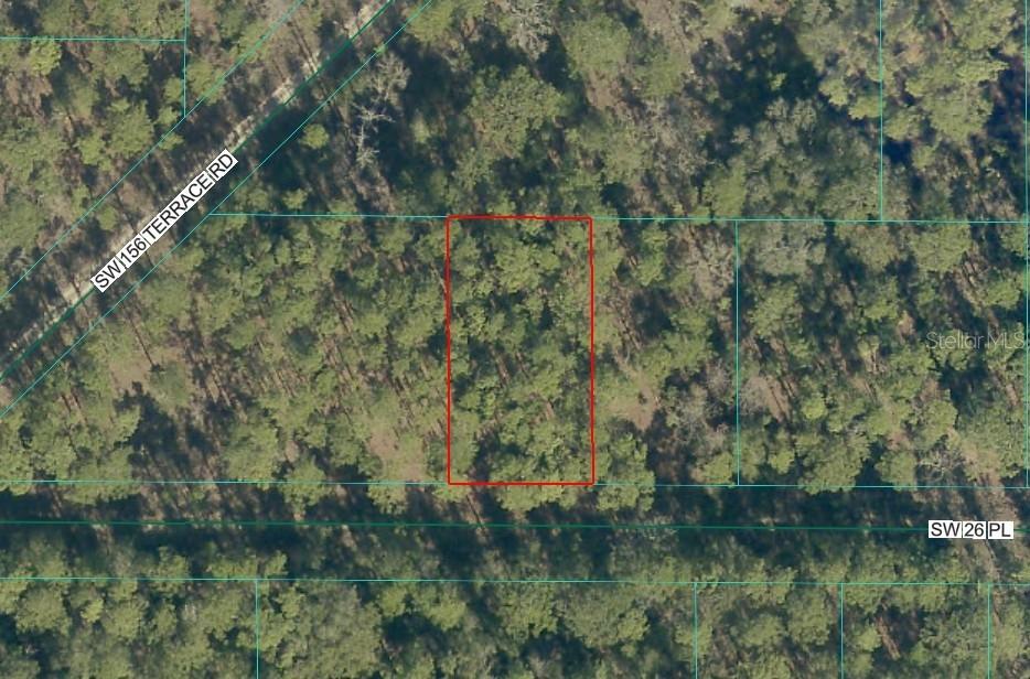 TBD LOT 14 SW 144th Ave Rd., Ocala, FL 34481