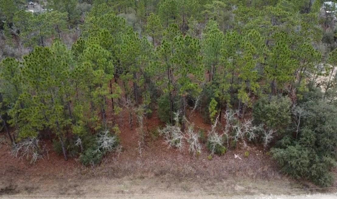 TBD SW 91st Ln., Dunnellon, FL 34432