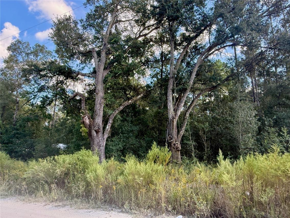SW 16th Pl., Ocala, FL 34481
