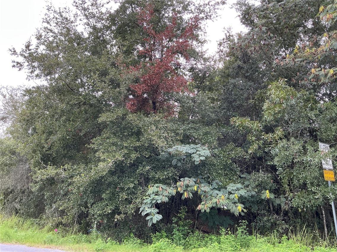 LOT 1 Pine Radial Run, Ocala, FL 34472