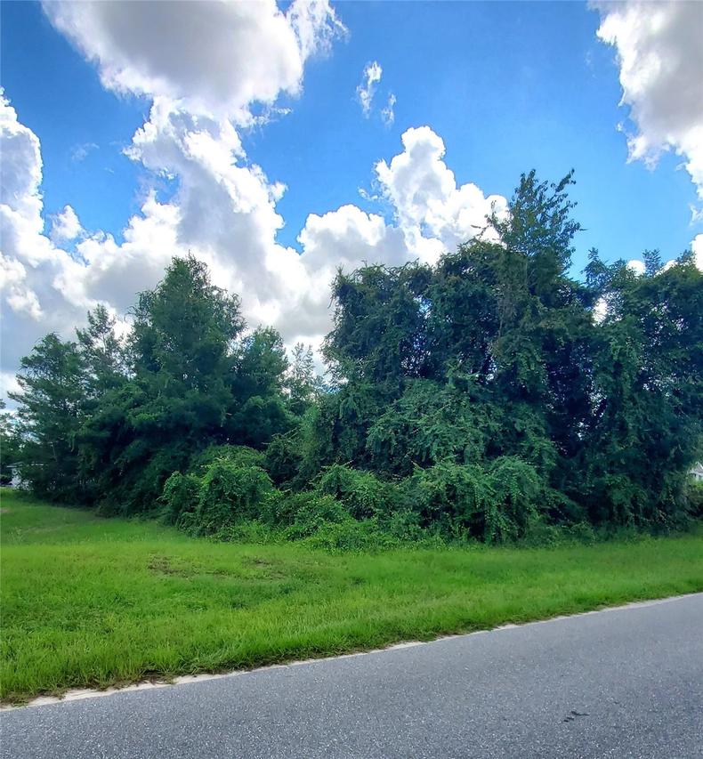 42nd Ave Rd., Ocala, FL 34473