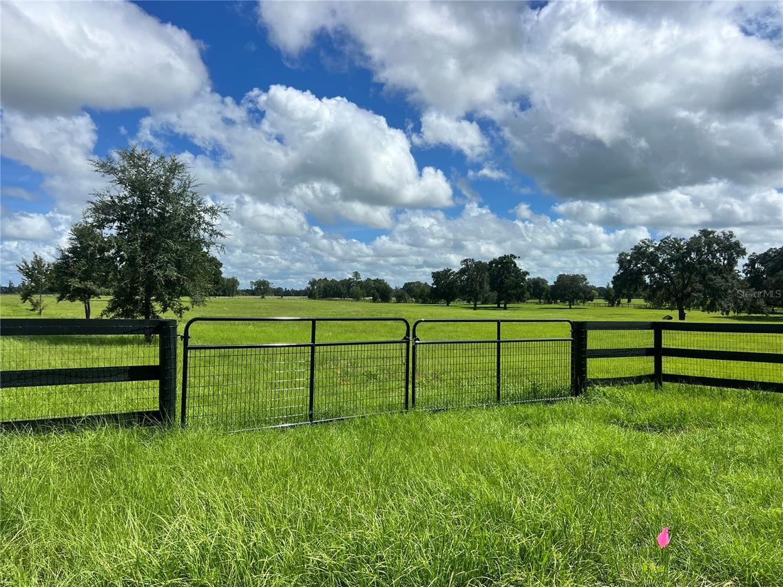 TBD NW 464b Hwy., Morriston, FL 32668